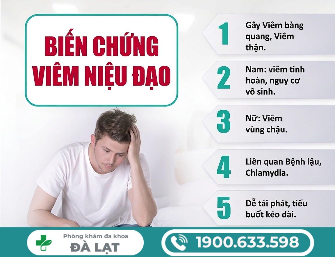 Hình ảnh minh họa